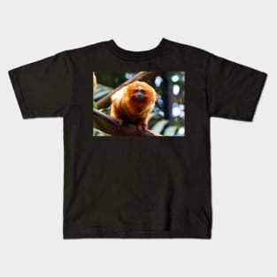 Golden Lion Tamarin Kids T-Shirt